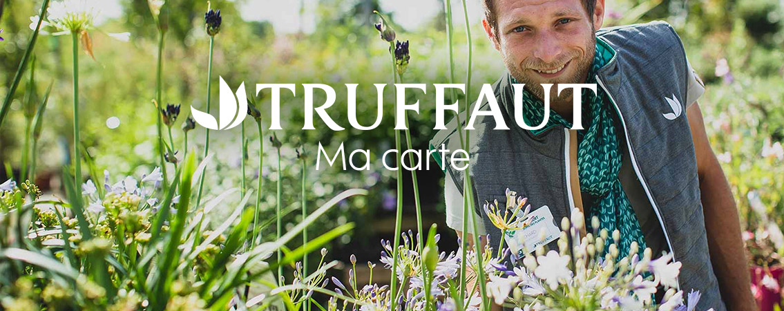 Truffaut ma carte