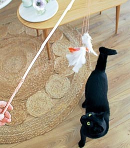 DIY chat : canne à pêche en plume