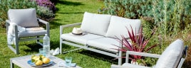 La marque Brighton