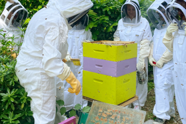 Collaborateurs formés à l'apiculture