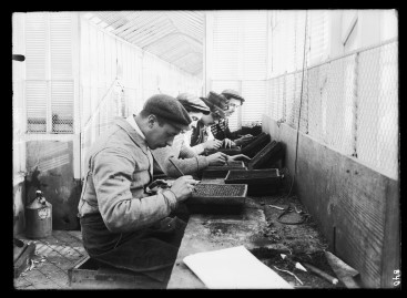 Photo historique de l’entreprise Truffaut