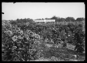 Photo historique de l’entreprise Truffaut