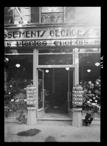 Photo historique de l’entreprise Truffaut