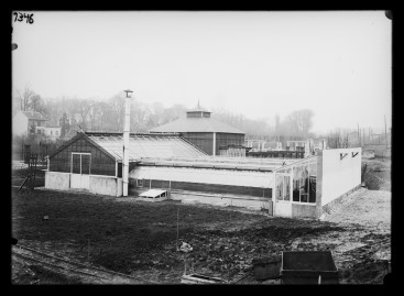 Photo historique de l’entreprise Truffaut