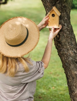 Aider et protéger les oiseaux du jardin