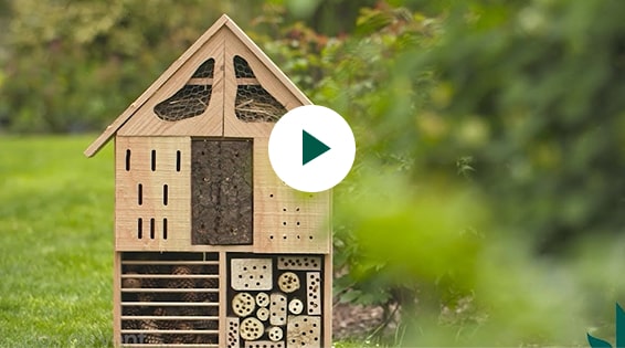 A quoi sert un hôtel à insectes ?