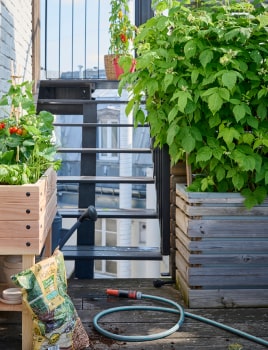 Économiser l'eau au jardin et balcon