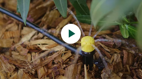 Installer un système de goutte à goutte sur la terrasse