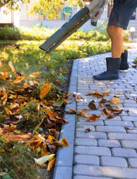 Quel type de souffleur choisir ?