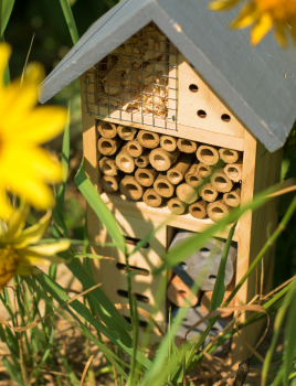 Tout savoir sur les hôtels à insectes