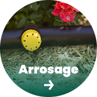 Arrosage