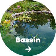 Bassin