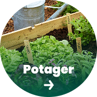 Potager
