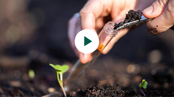 Tester la terre de mon jardin : le pH