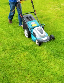 Comment bien tondre sa pelouse ?