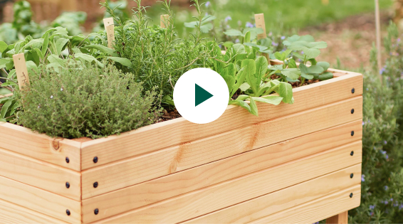 Un potager pour petits espaces