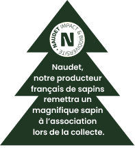 Fond vert Noel