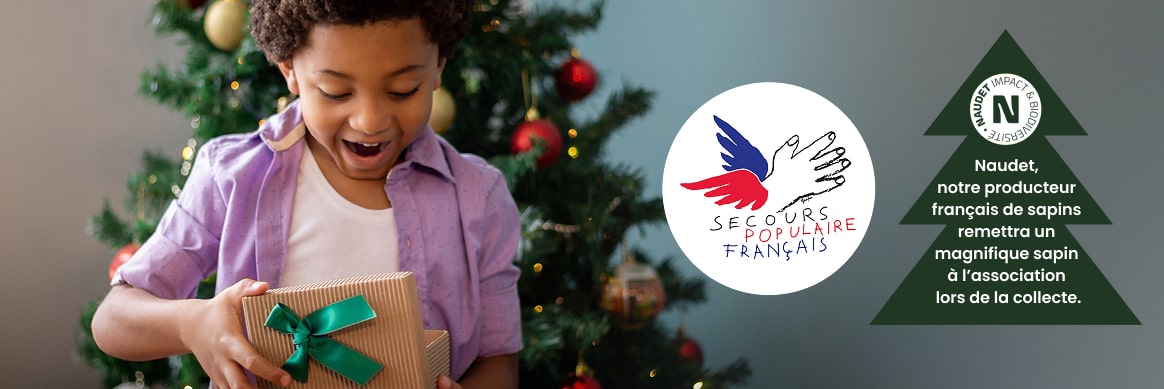 Petit don, grand Noël !