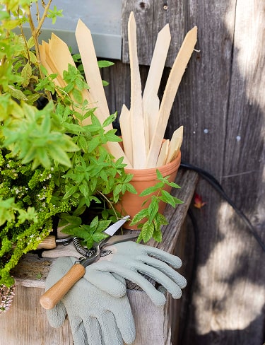 À l’extérieur Douceur rustique