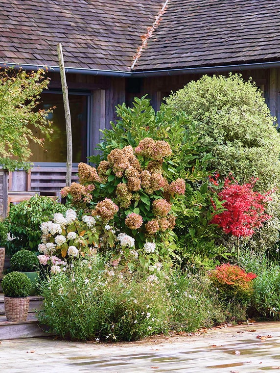 À l’extérieur Douceur rustique