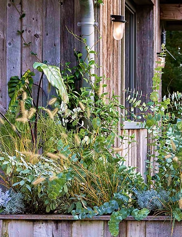 À l’extérieur Douceur rustique