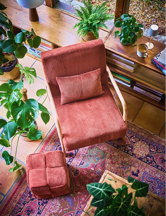 À l'intérieur Vert facile à vivre