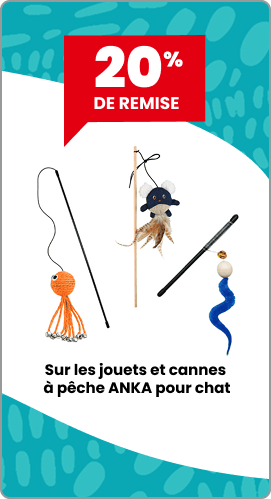 20% sur les jouets ANKA pour chat