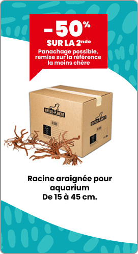 50% sur la 2eme racine araignée pour aquarium