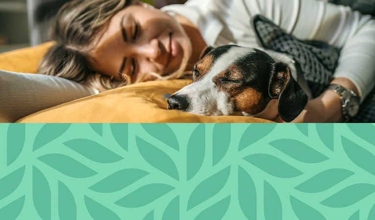 Doudou mood Truffaut