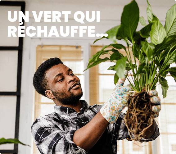 Un vert qui réchauffe…