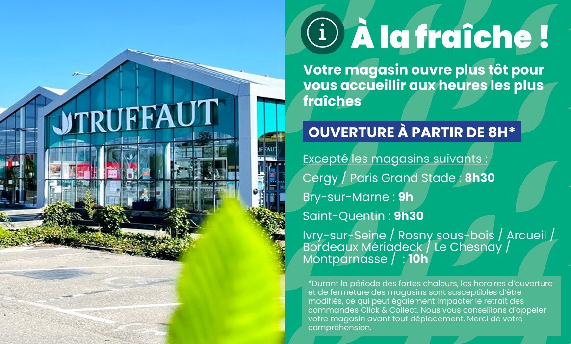 Truffaut à la fraiche