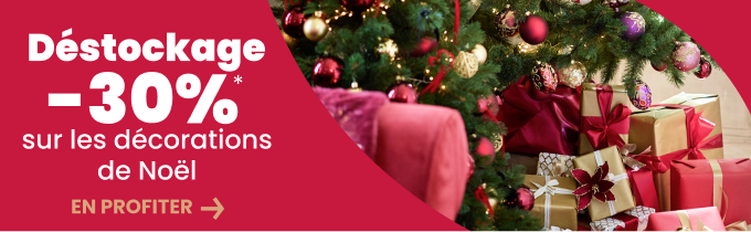 Découvrir l’offre de Noël