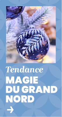 Tendance Magie du Grand Nord