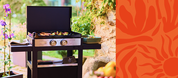 Barbecues et planchas