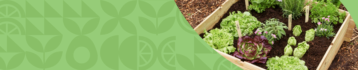 Les marques de la nature