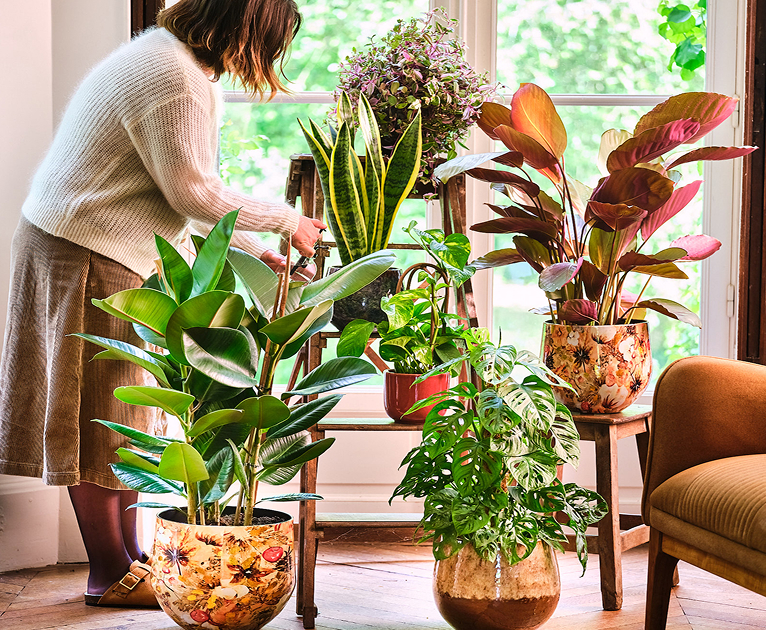 À l'intérieur