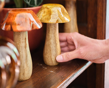 Champignon
