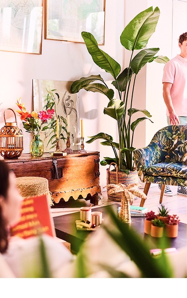 À l'intérieur Vert facile à vivre