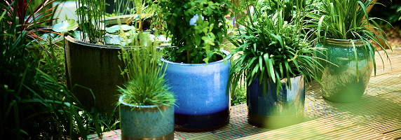 Pots