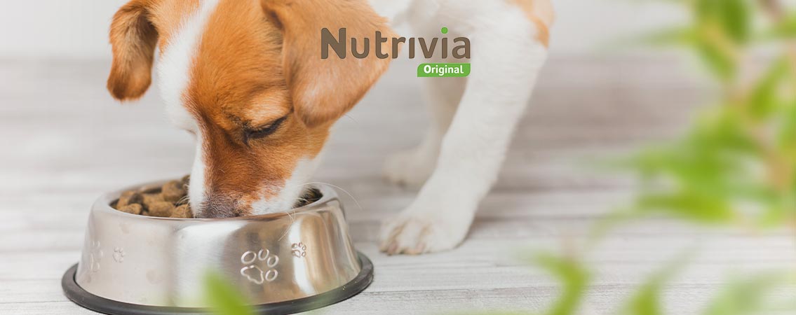 Epingle Sur Citations