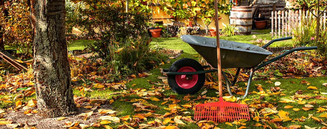 Jardinage Pots Arrosage Terreau Tondeuse Et Outils Truffaut