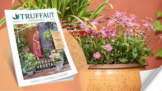 Magazine d’été - gratuit en jardinerie