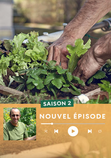 Podcast : secrets & astuces jardinage