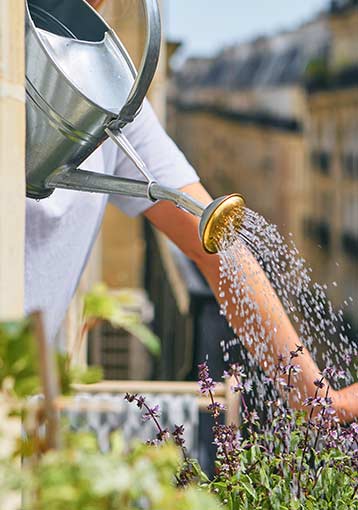 Économiser l'eau au jardin et balcon