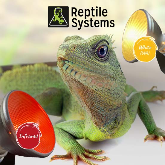 Eco Halogen, solution écologique, économique pour chauffer vos reptiles