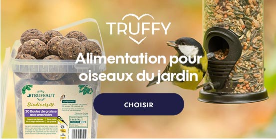 Alimentation Truffy pour oiseaux