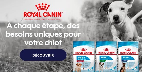 Royal Canin