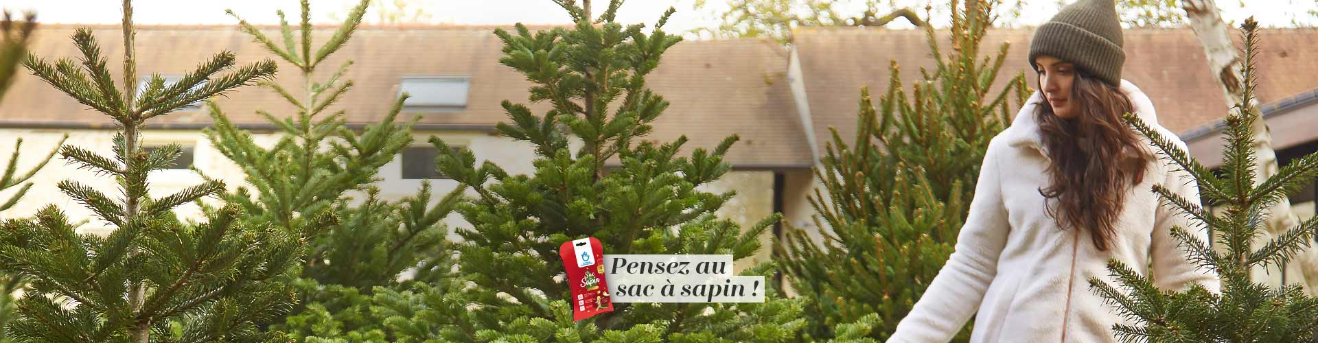 Les sapins coupés sont arrivés