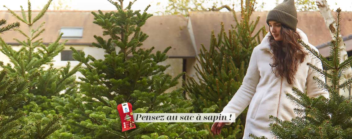 Les sapins coupés sont arrivés en ligne et en magasin