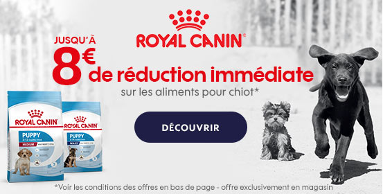 Royal Canin